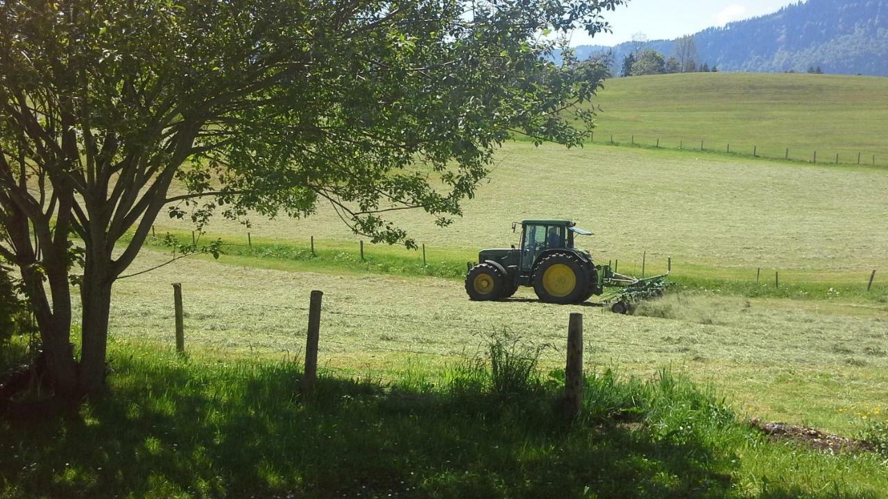 מלון Immenstadt im Allgäu Haus Alpenhof מראה חיצוני תמונה