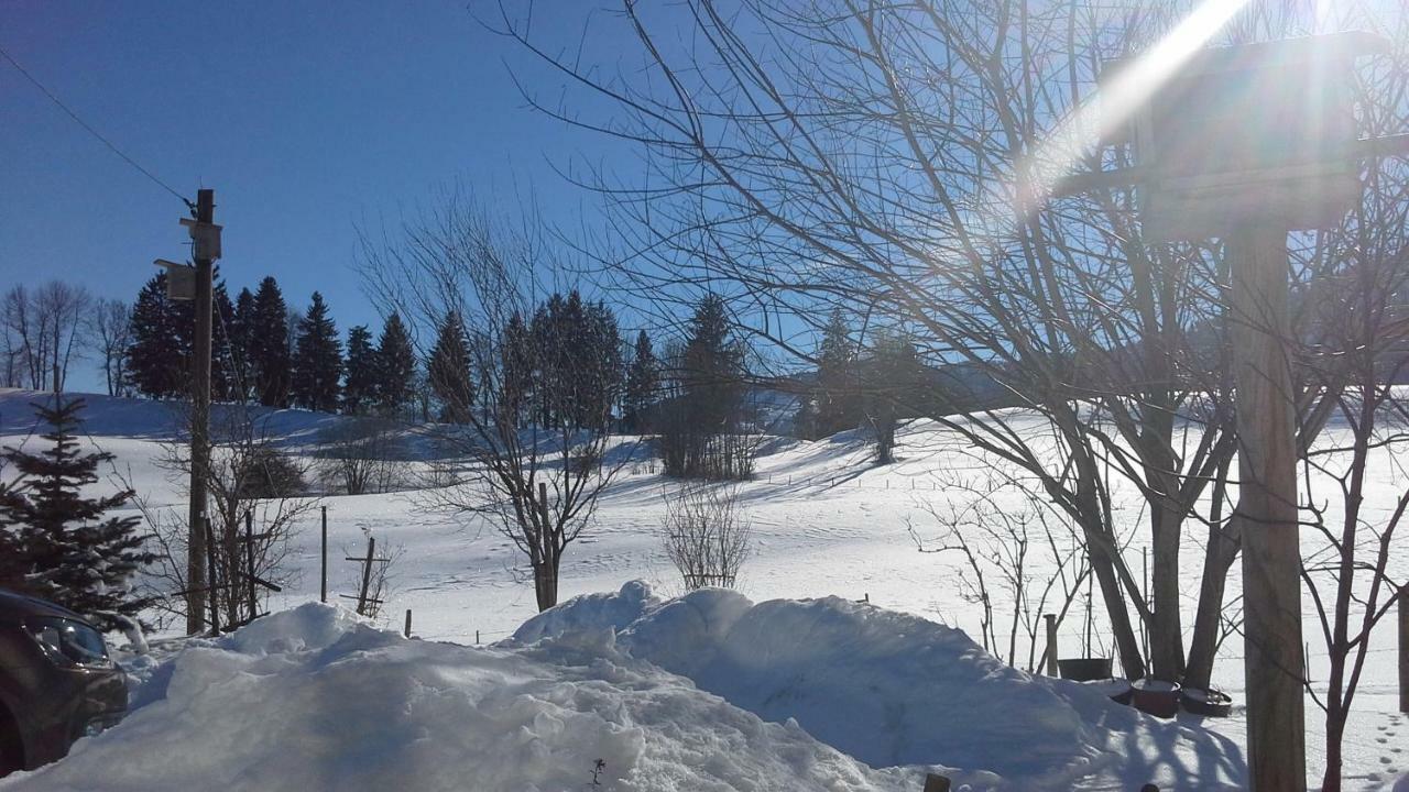 מלון Immenstadt im Allgäu Haus Alpenhof מראה חיצוני תמונה